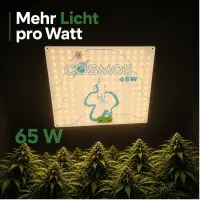 Cosmos 65 Watt LED Pflanzenlampe – Kompakte Grow Lampe