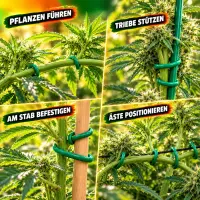 Pflanzendraht Grün 3,5 mm x 5 Meter – Pflanzen...