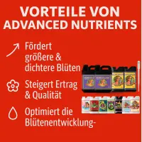 Advanced Nutrients 11-teiliges Dünger Set XL – Pflanzen Nährstofflösung Set