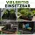 Plant Tray Hard Plastic 60 x 60 x 12 cm – Rectangular Seedling Tray