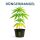 Plagron Growmix Erde-Set Big XL – Grow Erde Komplett-Set
