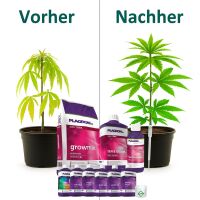 Plagron Growmix Soil Set Big L – Complete Grow Soil...