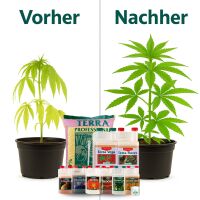 Canna Terra Professional Soil Set Big L – Plant...