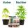 Canna Terra Professional Soil Set Big L – Plant Cultivation Flower Soil
