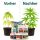 Canna Terra Professional Soil Set Big XL – Plant Cultivation Flower Soil