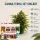 Canna 10-Piece Nutrient Set – Plant Fertilizer Kit