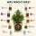 Canna 10-Piece Nutrient Set – Plant Fertilizer Kit