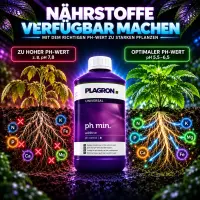 Plagron pH Minus 5 Liters – pH Regulator for Plants