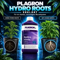 Plagron Hydro Roots 100 ml – Hydroponic Root Stimulator
