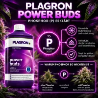 Plagron Power Buds 250 ml – Bloom Fertilizer for...