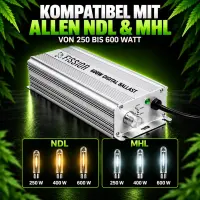Dimmable 600 Watt Ballast – Grow Light