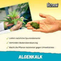 Bio2Grow Algae Lime 500 Grams – Soil Additive for Plants