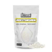 Bio2Grow Urgesteinsmehl 500 Gramm – Mineralischer...