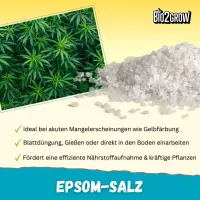 Bio2Grow Epsom-Salz 2 Kg – Magnesiumsulfat Pflanzenstärkung