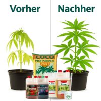 Canna Coco Natural 50 Liters M – Hydro Coconut...