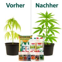 Canna Coco Natural 50 Liter XL – Hydro Kokos Substrat