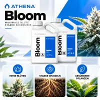 Athena Bloom A & B Dünger-Set – 2 ×...