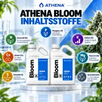Athena Bloom A & B Dünger-Set – 2 × 3,78 Liter (7,56 Liter Gesamtmenge)
