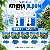 Athena Bloom A & B Dünger-Set – 2 × 3,78 Liter (7,56 Liter Gesamtmenge)