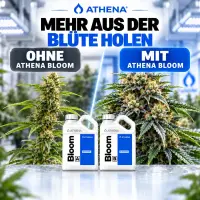 Athena Bloom A & B Dünger-Set – 2 × 3,78 Liter (7,56 Liter Gesamtmenge)
