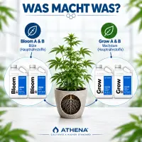 Athena Düngerset XS - Komplett Dünger Set