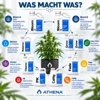 Athena Düngerset XL - Komplett Dünger Set