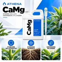 Athena CaMG 3,78 Liter