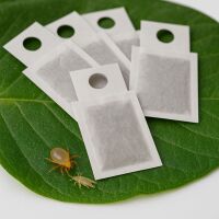N. Cucumeris Tütchen 25 Stk. - gegen Thripse