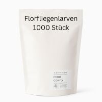 Florfliegenlarven 1000 Stück -...