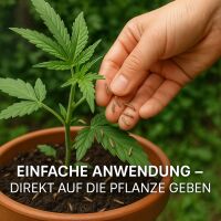 Florfliegenlarven 1000 Stück - Allround-Nützling gegen viele Schädlinge