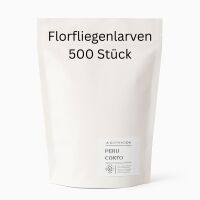 Florfliegenlarven 500 Stück - Allround-Nützling...