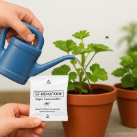 SF Nematoden 6 Mio. - gegen Trauermücken Nützlinge