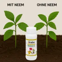 Neemöl 100 ml – Für Pflanzenpflege