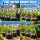 Water Master Drip Irrigation 12-Pack - Automatic Watering System