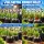 Water Master Drip Irrigation 12-Pack - Automatic Watering System