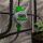 Water Master Digital Irrigation Timer