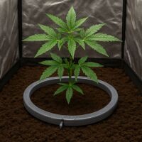 Water Master Drip Ring 25 cm