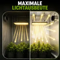 Dark Box PRO Grow Zelt 480x240x240 cm - Indoor Growbox