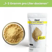 Bio2Grow Phosphor-Gestein 750 Gramm – Natürliche Phosphorquelle
