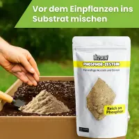 Bio2Grow Phosphor-Gestein 750 Gramm – Natürliche Phosphorquelle