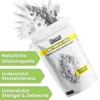 Bio2Grow Diatomenerde 250 Gramm – Natürliches...
