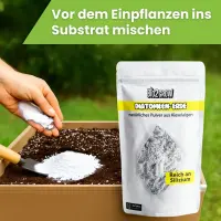 Bio2Grow Diatomenerde 1 Kg – Natürliches Silizium-Pulver