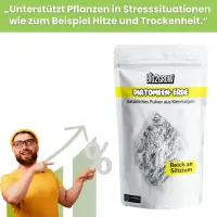 Bio2Grow Diatomenerde 2,5 Kg – Natürliches Silizium-Pulver