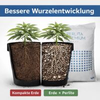 Perlite Set - Vulkangestein Drainage