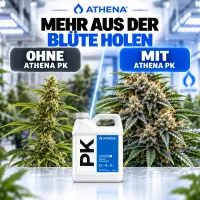 Athena PK Dünger 3,78 Liter