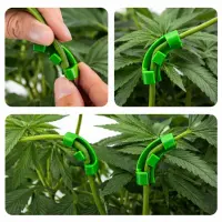 Clip Set Big - Low Stress Training