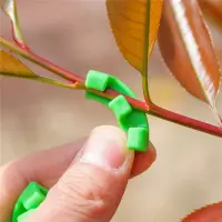 Clip Set Big - Low Stress Training