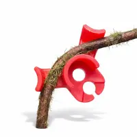 Clip Rot ENG 10 STK. - Low Stress Training