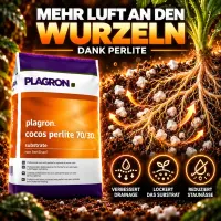 Plagron Coco 50 Liter 70/30 Mischung Palette 60 Säcke