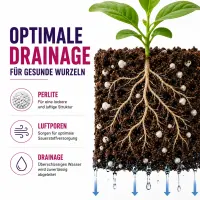 Plagron Growmix 50 Liter Palette 60 Stück – Universalerde für Wachstum